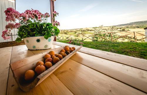 Colle Regnano - Foto 45