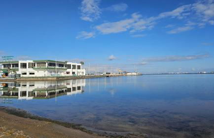 Casa Palmeral Oasis with Pool - Foto 10