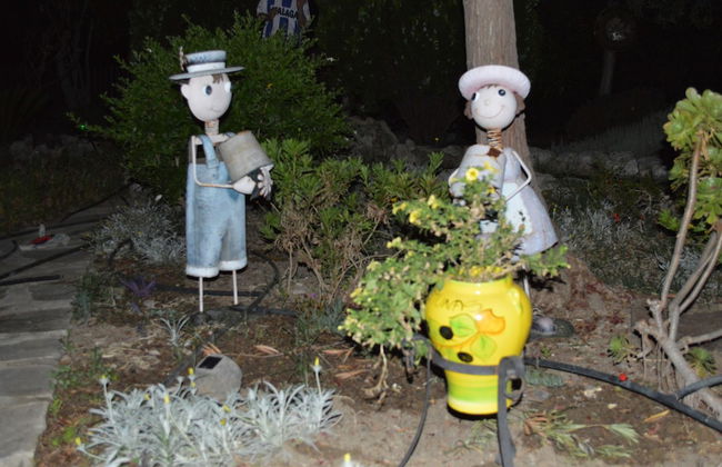 Cortijo Veracruz - Photo 70