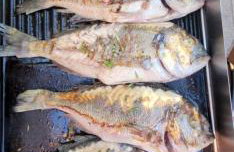 Villa Giulia - Foto 41