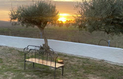 Canto da Planície - Foto 54