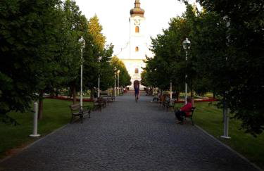 Studio apartman CENTAR - Foto 6