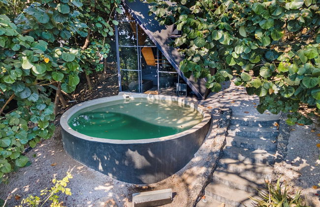 Bosque Geométrico - Foto 77