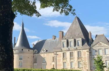 Gîte Familial 4 étoiles - École du Maupas - Coeur Brenne - Foto 52