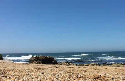 Estrelícia - Foto 36