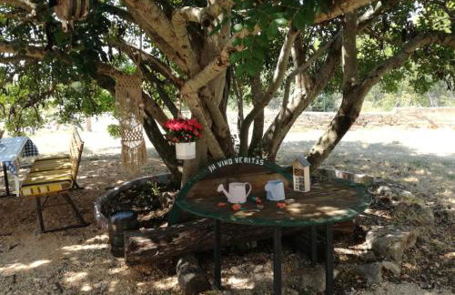 Hvar Mediterranean Ranch House - Foto 68