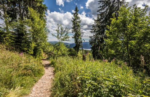 Ferienwohnung Kraftquelle im Wohnpark SchwarzwaldBlick, Bernau - Foto 25