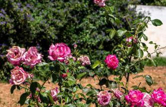 Villa Emily in Countryside - Photo 115