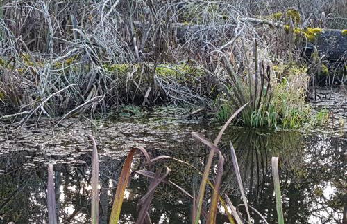Sonnenhof, Ferienwohnung auf Reitanlage - Foto 43