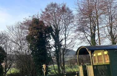 Shepherds hut, Eco, Log burner Hot tub NY moors - Foto 23