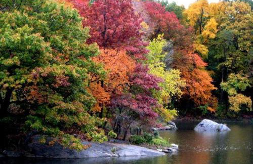 The Mill Stylish Rural Apartment with Beautiful Views - Foto 35