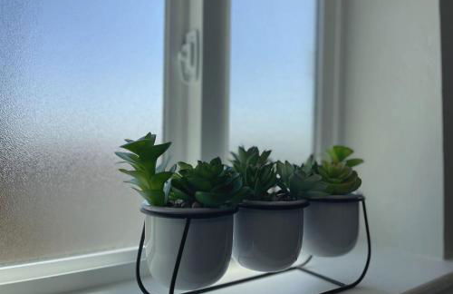 Cozy Entire Home Gateway to Sequoia Pet Friendly - Foto 15