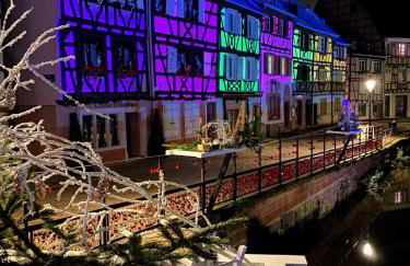 ALSACE Gîte 3étoiles climatisé prox Colmar, Eguisheim, parking, jardin - Foto 38