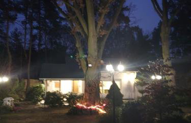 Fort Janowek - Foto 57