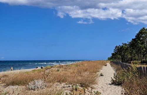 Mini villa jardin 50 m plage - Foto 5