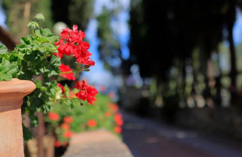 Agriturismo Villa Guarnaschelli - Foto 72