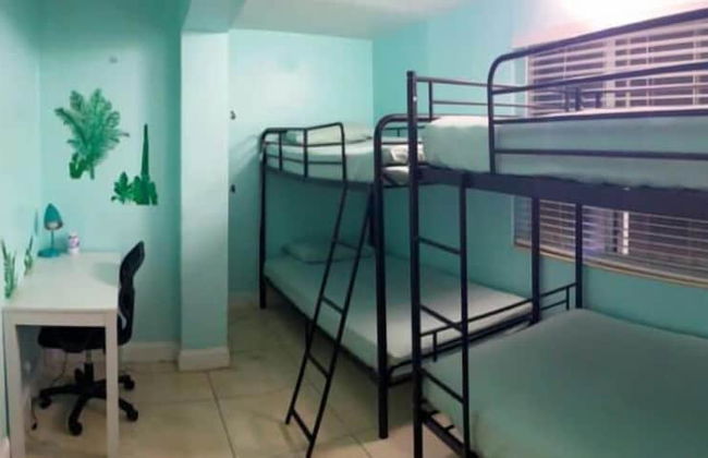 Art Gardens Wynwood - Photo 3