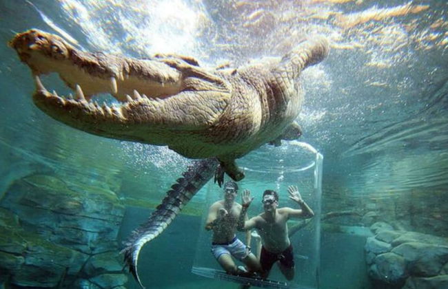 Zencity Balcony Outdoor Dining Mindal Markets - Foto 24