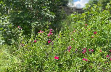 Maison avec jardin Orléans métropole - Photo 50