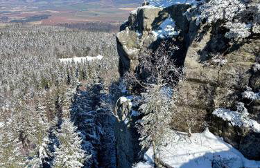 Wiśniowy Sad - Foto 70