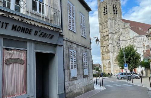 Le Pigeonnier centre historique Auxerre - Foto 56