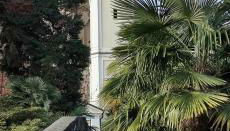 Sorelle Filly - Foto 2