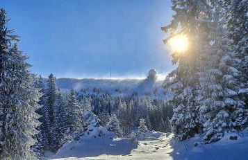 Le Chablis étoilé - Foto 12