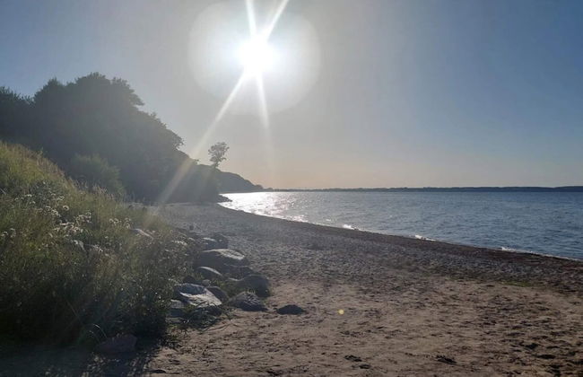 6 Person Holiday Home in Brenderup Fyn - Photo 31