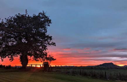 FINN VILLAGE - Loch Lomond Sunset Glamping Pod - Private Ofuro HOT TUB - Foto 14