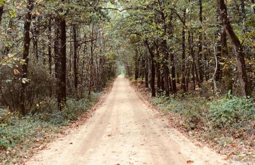 Évasion champêtre : Maison avec piscine, tennis, et étang au cœur de 50 hectares de forêt - FR-1-410-307 - Photo 33