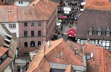 Wohnen im Springerhof - Foto 61