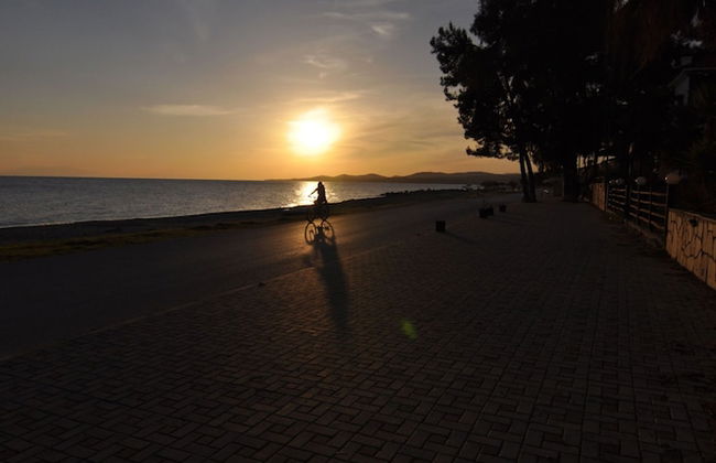 Zennova 23 - Nikiti Family Green Nest - Foto 28