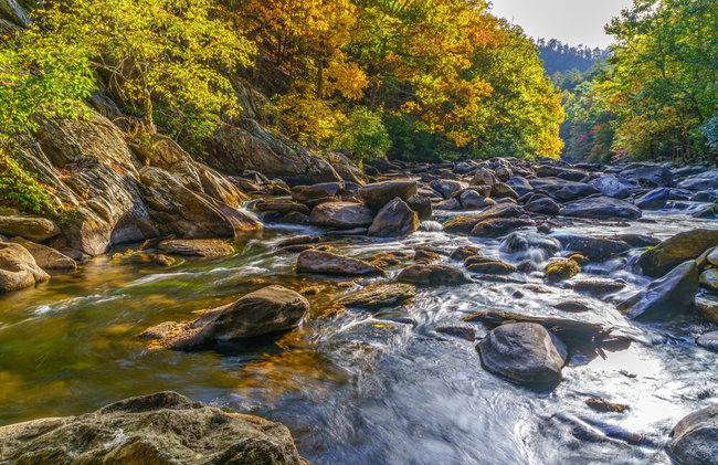 The Squirrel's Nest by Jackson Mountain Rentals - Foto 25