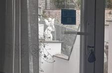 La Necussella - Foto 22