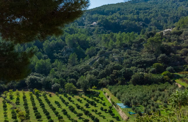 Short des Verger - Foto 42