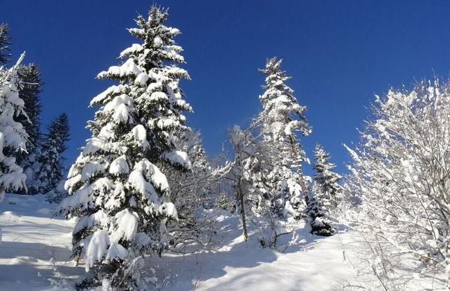 Holiday Apartment Owl's Nest - Foto 22