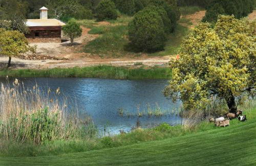 Herdade dos Grous - Foto 22