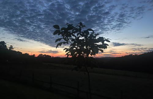 Ferienwohnung Wolf - Photo 25