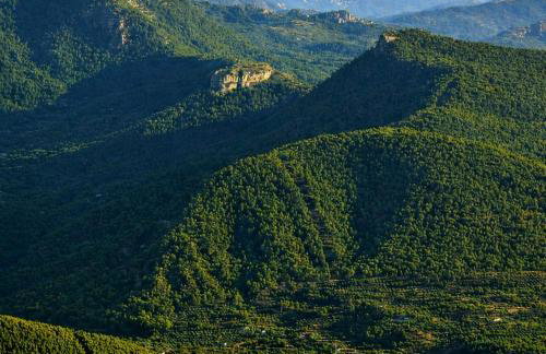 Casa Rural Doña Carmen - Foto 46