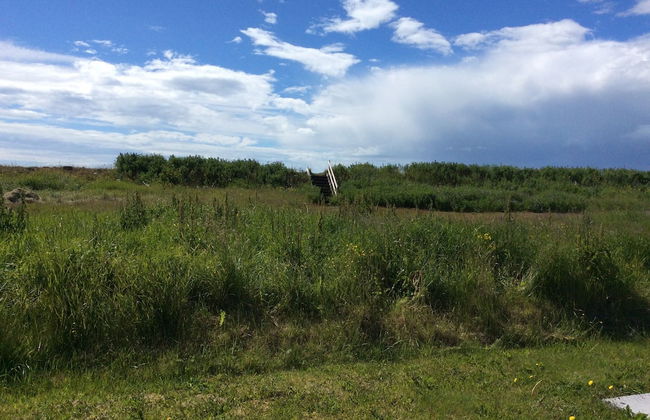 Sea Side Cottages - Foto 30
