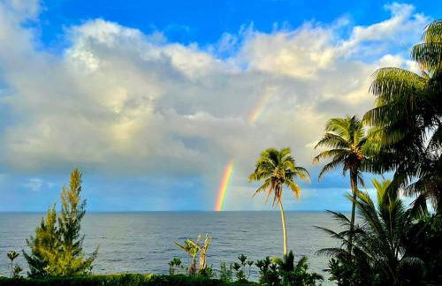 Grand Oceanfront Gated Estate on the Hamakua Coast - Foto 33
