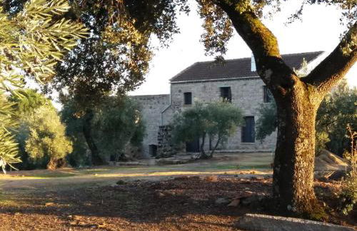 Viña Las Olivas - Foto 6