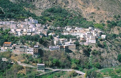 la casita del pueblo PET friendly granada - Foto 24