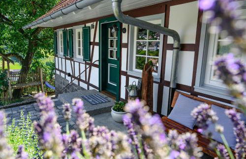 Ferienhaus Ottenhöfen - Sauna | Hot Tub - Foto 35