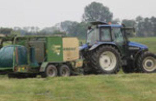 Ferienhof "Karl" - Foto 15
