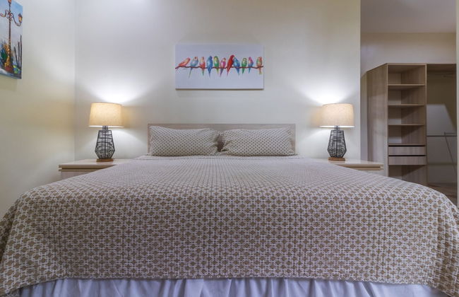 Rancho Haas - Photo 21