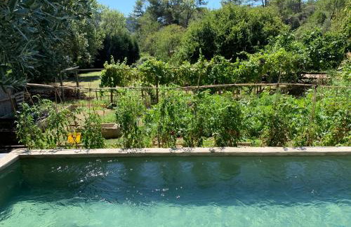 Cabane de la leque - Foto 31