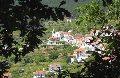 Quinta do Brejo - Foto 11