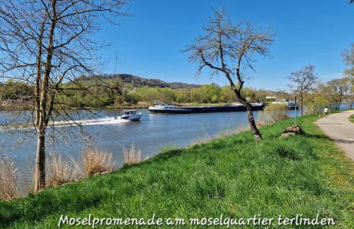 moselquartier terlinden- Apartment - Foto 36