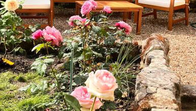 Abbaye Cottage - Maison entière - jardin - jacuzzi - Photo 4, Garden view